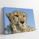 Nöbetçi Kaplan Jean Leon Gerome Kaplan | Kanvas Tablo | Cam Tablo | Mdf Tablo | A32213