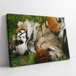 Nöbetçi Kaplan Jean Leon Gerome Kaplan | Kanvas Tablo | Cam Tablo | Mdf Tablo | A32216