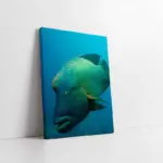 Denizaltı | Kanvas Tablo | Cam Tablo | Mdf Tablo | A32220