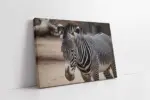 Zebra | Kanvas Tablo | Cam Tablo | Mdf Tablo | A32221