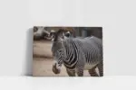 Zebra | Kanvas Tablo | Cam Tablo | Mdf Tablo | A32221 - Görsel 2