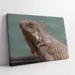 Bukalemun | Kanvas Tablo | Cam Tablo | Mdf Tablo | A32224