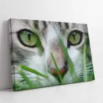 Kedi | Kanvas Tablo | Cam Tablo | Mdf Tablo | A32225