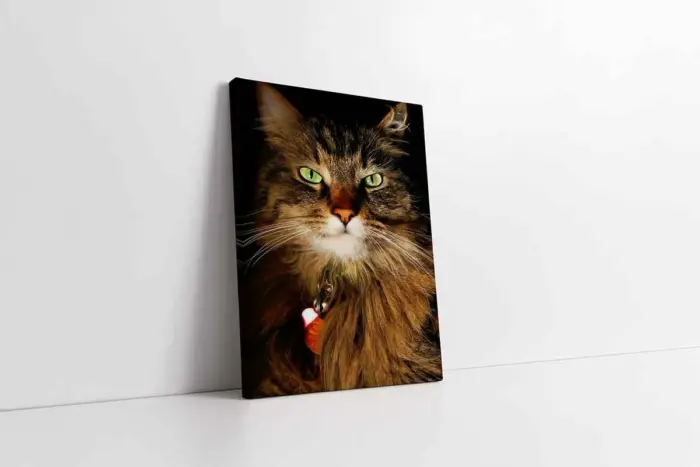 Kedi | Kanvas Tablo | Cam Tablo | Mdf Tablo | A32226 - Görsel 1