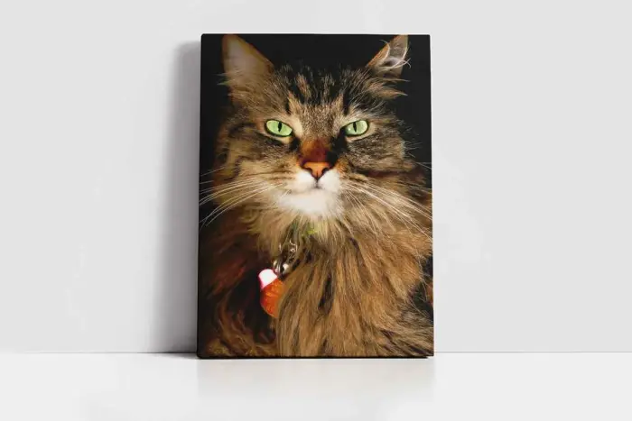 Kedi | Kanvas Tablo | Cam Tablo | Mdf Tablo | A32226 - Görsel 2