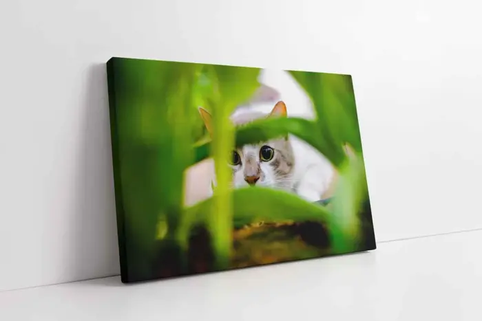 Kedi | Kanvas Tablo | Cam Tablo | Mdf Tablo | A32227 - Görsel 1