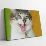 Kedi | Kanvas Tablo | Cam Tablo | Mdf Tablo | A32228