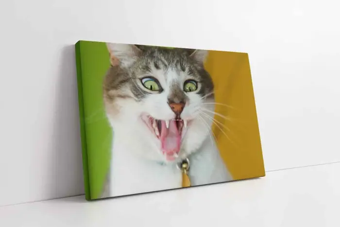 Kedi | Kanvas Tablo | Cam Tablo | Mdf Tablo | A32228 - Görsel 1