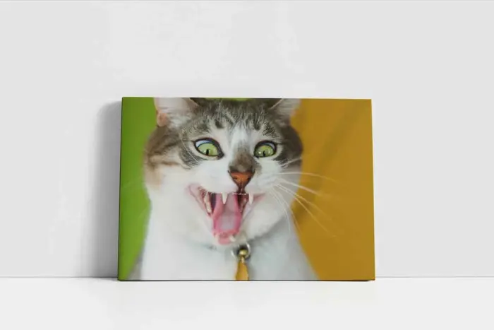 Kedi | Kanvas Tablo | Cam Tablo | Mdf Tablo | A32228 - Görsel 2