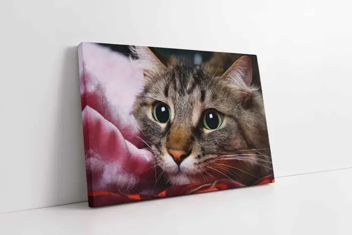 Kedi | Kanvas Tablo | Cam Tablo | Mdf Tablo | A32230 - Görsel 1