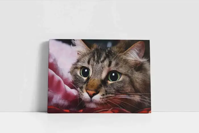Kedi | Kanvas Tablo | Cam Tablo | Mdf Tablo | A32230 - Görsel 2