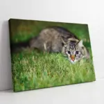 Kedi | Kanvas Tablo | Cam Tablo | Mdf Tablo | A32231