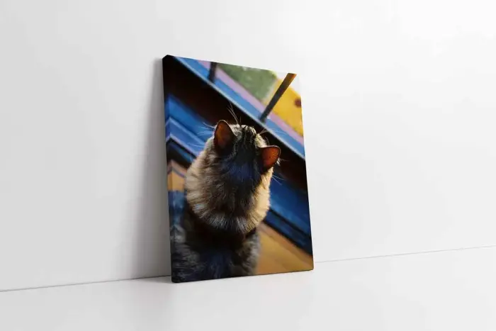 Kedi | Kanvas Tablo | Cam Tablo | Mdf Tablo | A32232 - Görsel 1