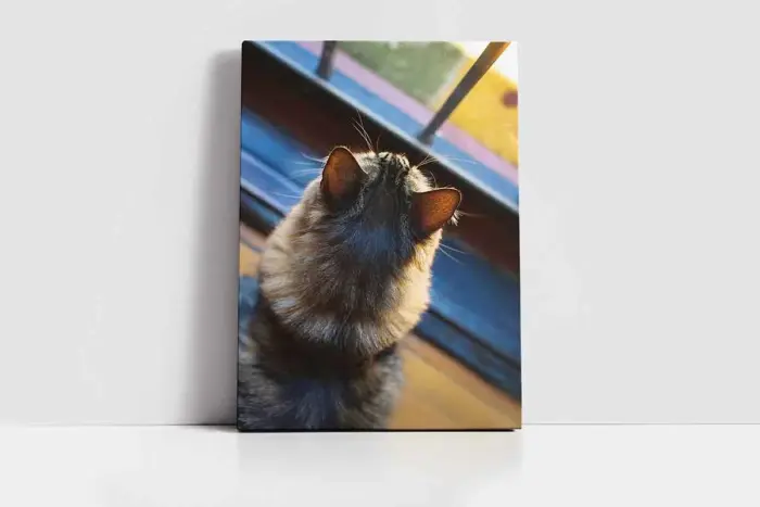 Kedi | Kanvas Tablo | Cam Tablo | Mdf Tablo | A32232 - Görsel 2