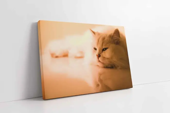 Kedi | Kanvas Tablo | Cam Tablo | Mdf Tablo | A32233 - Görsel 1