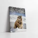 Kedi | Kanvas Tablo | Cam Tablo | Mdf Tablo | A32234