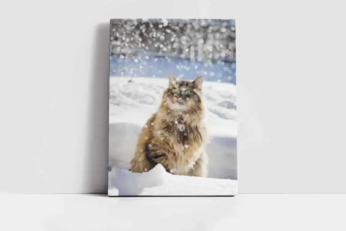 Kedi | Kanvas Tablo | Cam Tablo | Mdf Tablo | A32234 - Görsel 2