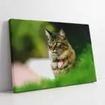 Kedi | Kanvas Tablo | Cam Tablo | Mdf Tablo | A32235