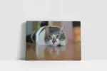 Kedi | Kanvas Tablo | Cam Tablo | Mdf Tablo | A32236 - Görsel 2