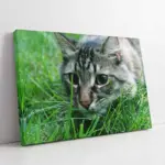 Kedi | Kanvas Tablo | Cam Tablo | Mdf Tablo | A32237