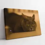 Kedi | Kanvas Tablo | Cam Tablo | Mdf Tablo | A32240