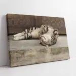 Kedi | Kanvas Tablo | Cam Tablo | Mdf Tablo | A32241