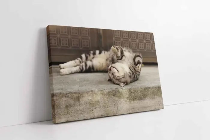 Kedi | Kanvas Tablo | Cam Tablo | Mdf Tablo | A32241 - Görsel 1