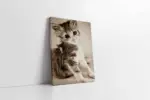 Kedi Yavrusu | Kanvas Tablo | Cam Tablo | Mdf Tablo | A32258