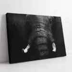 Siyah Beyaz Fil | Kanvas Tablo | Cam Tablo | Mdf Tablo | A32259