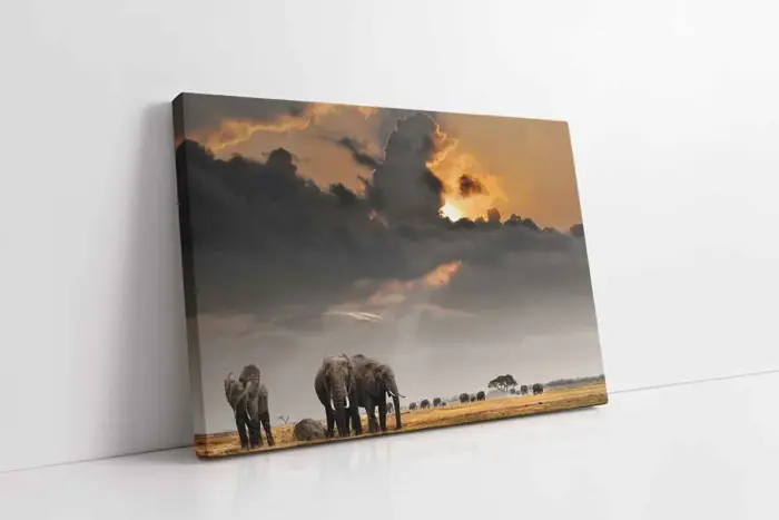 Safari | Kanvas Tablo | Cam Tablo | Mdf Tablo | A32260 - Görsel 1
