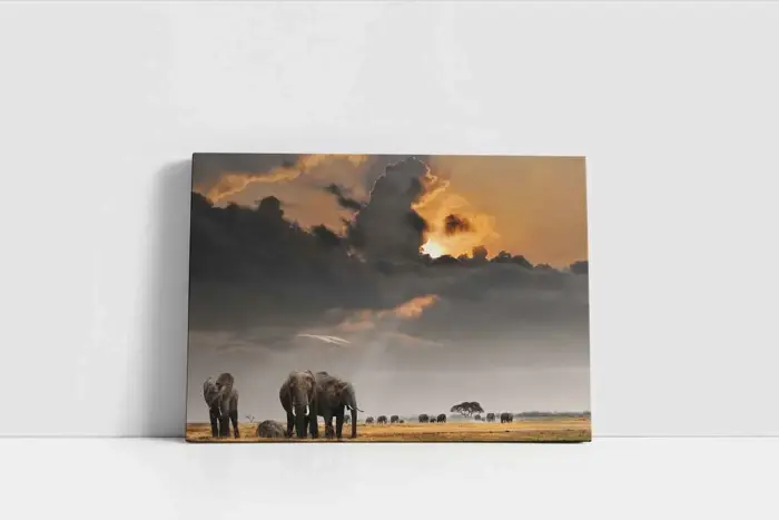 Safari | Kanvas Tablo | Cam Tablo | Mdf Tablo | A32260 - Görsel 2