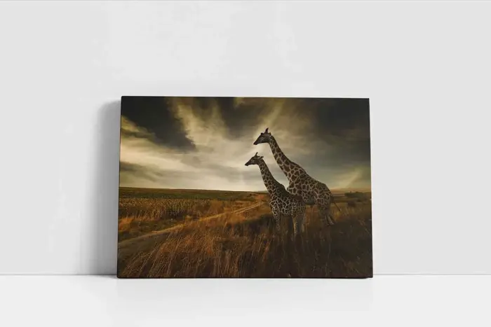 Safari | Kanvas Tablo | Cam Tablo | Mdf Tablo | A32263 - Görsel 2