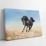 Koşan At | Kanvas Tablo | Cam Tablo | Mdf Tablo | A32274