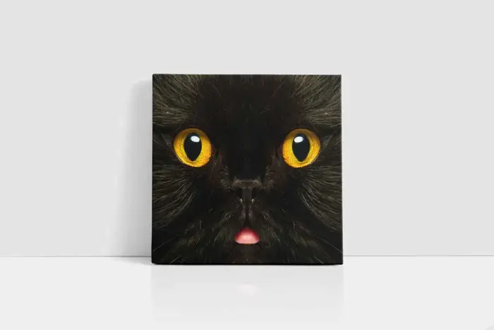 Kedi | Kanvas Tablo | Cam Tablo | Mdf Tablo | A32275 - Görsel 2