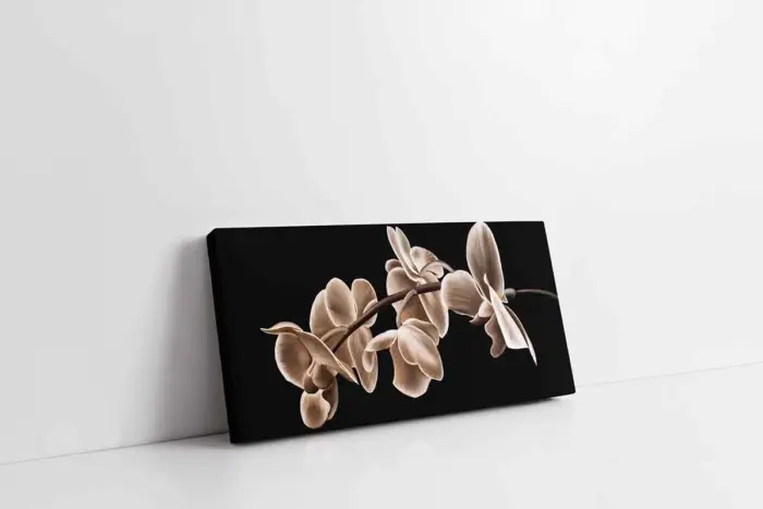 Siyah Beyaz Çiçek | Kanvas Tablo | Cam Tablo | Mdf Tablo | B03005 - Görsel 1