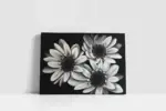 Siyah Beyaz Çiçek | Kanvas Tablo | Cam Tablo | Mdf Tablo | B03007 - Görsel 2