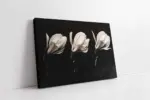 Siyah Beyaz Çiçek | Kanvas Tablo | Cam Tablo | Mdf Tablo | B03008