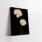 Siyah Beyaz Çiçek | Kanvas Tablo | Cam Tablo | Mdf Tablo | B03020