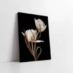 Siyah Beyaz Çiçek | Kanvas Tablo | Cam Tablo | Mdf Tablo | B03021