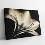 Siyah Beyaz Çiçek | Kanvas Tablo | Cam Tablo | Mdf Tablo | B03022
