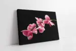 Pembe Çiçek | Kanvas Tablo | Cam Tablo | Mdf Tablo | B03036
