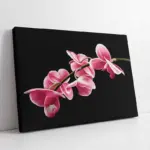 Pembe Çiçek | Kanvas Tablo | Cam Tablo | Mdf Tablo | B03036