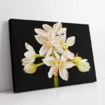 Çiçek | Kanvas Tablo | Cam Tablo | Mdf Tablo | B03037