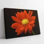 Kırmızı Çiçek | Kanvas Tablo | Cam Tablo | Mdf Tablo | B03038