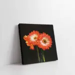 Kırmızı Çiçek | Kanvas Tablo | Cam Tablo | Mdf Tablo | B03040