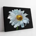 Papatya | Kanvas Tablo | Cam Tablo | Mdf Tablo | B03044