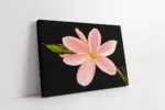 Pembe Çiçek | Kanvas Tablo | Cam Tablo | Mdf Tablo | B03045