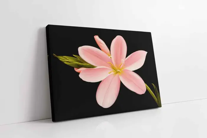 Pembe Çiçek | Kanvas Tablo | Cam Tablo | Mdf Tablo | B03045 - Görsel 1