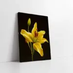 Çiçek | Kanvas Tablo | Cam Tablo | Mdf Tablo | B03049