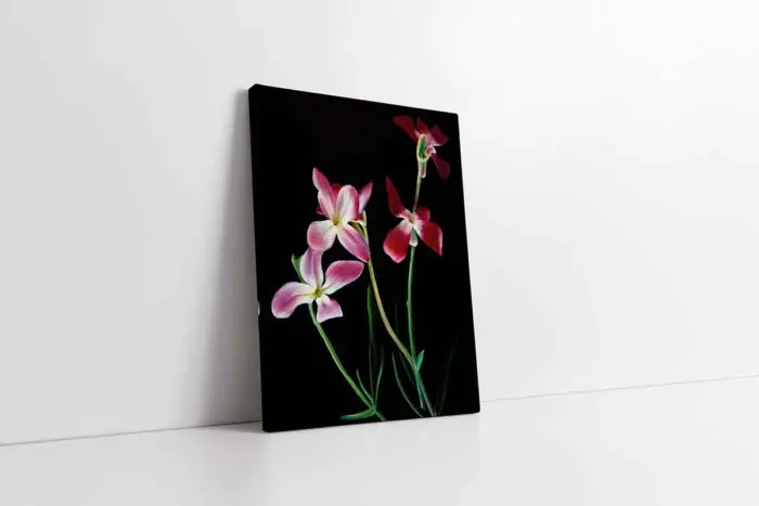 Pembe Çiçek | Kanvas Tablo | Cam Tablo | Mdf Tablo | B03053 - Görsel 1